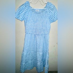 Gingham Blue & White Dress